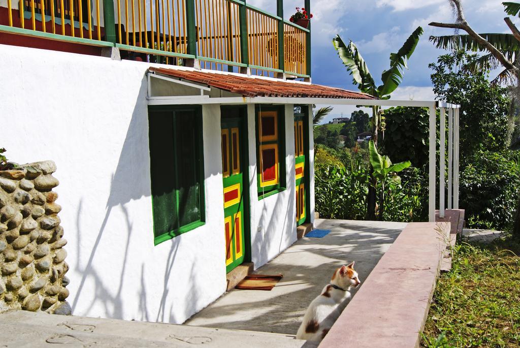Hostal Casa De Los Taitas سالنتو المظهر الخارجي الصورة