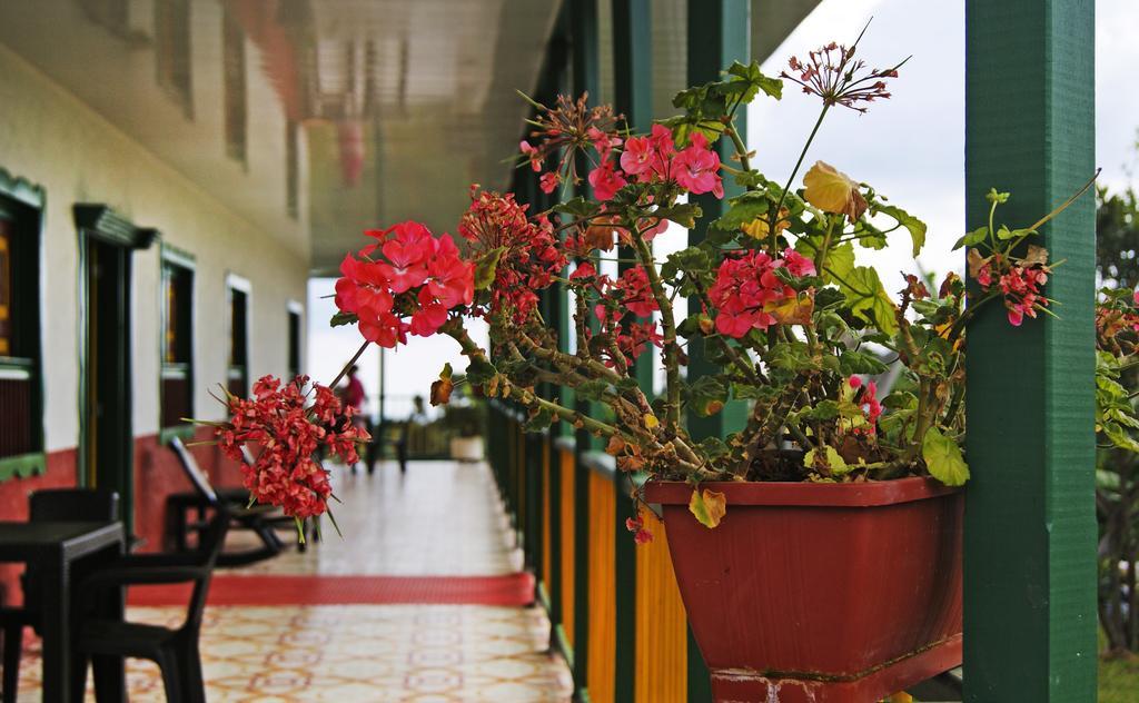 Hostal Casa De Los Taitas سالنتو المظهر الخارجي الصورة